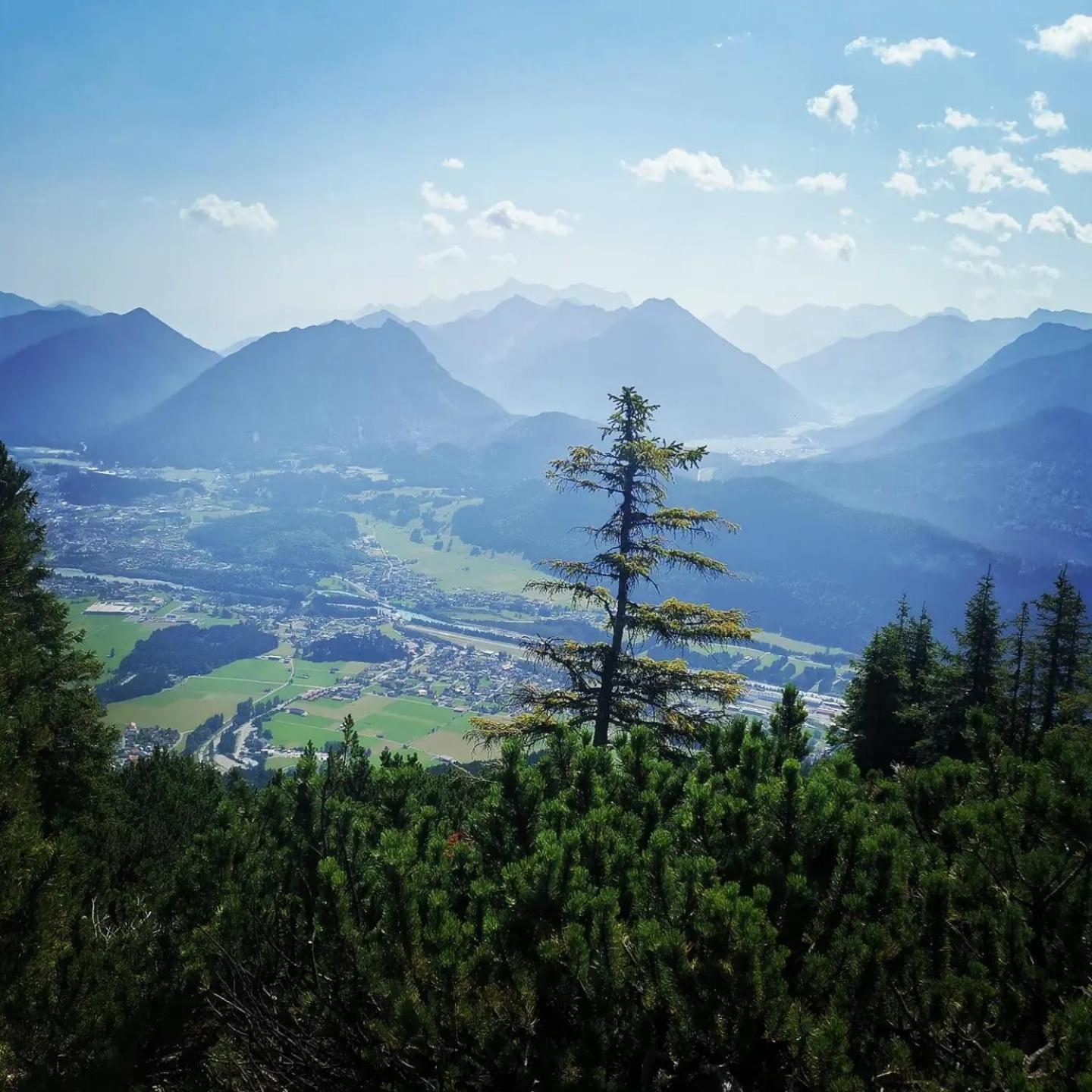 Alpapart Hornberg Hofen Luaran gambar