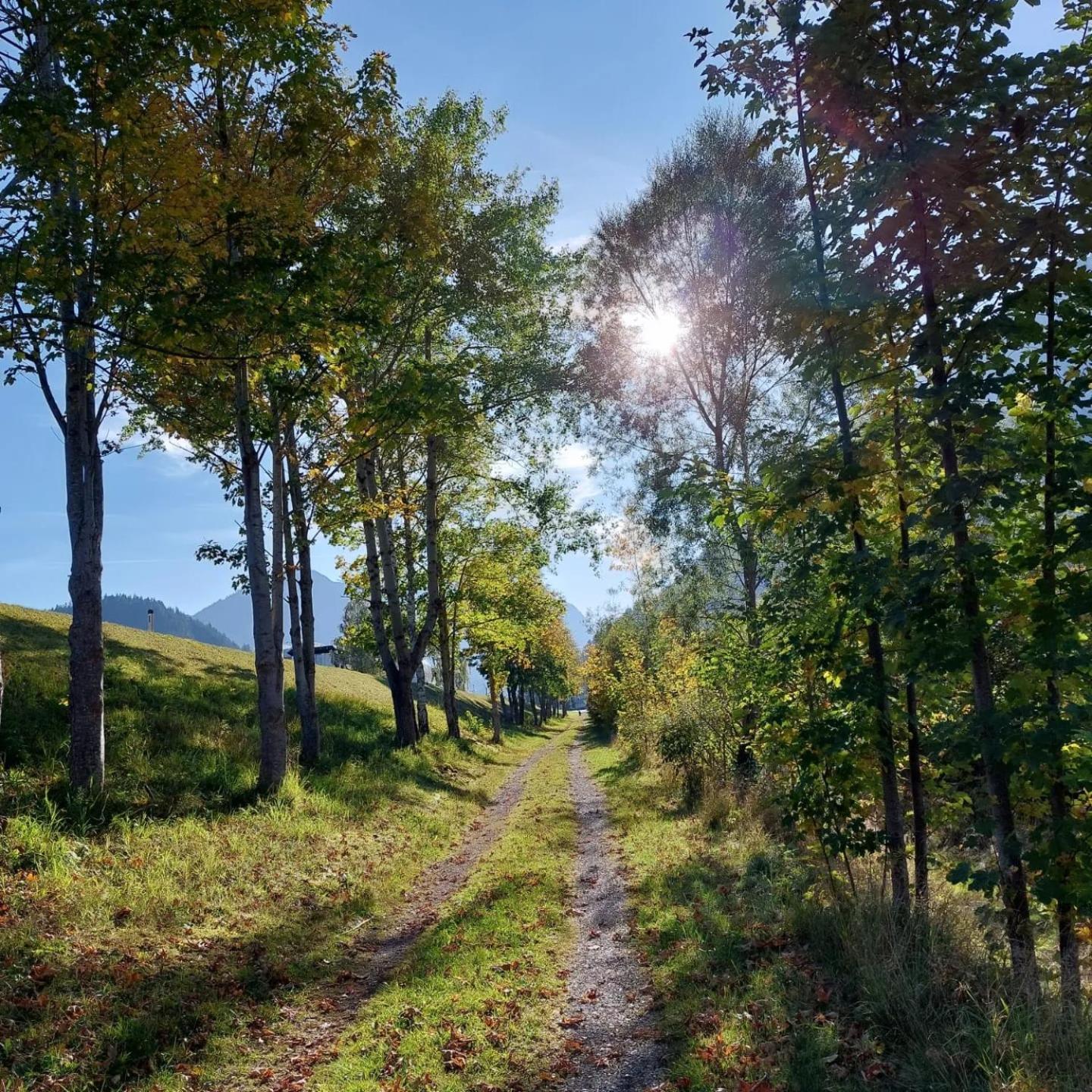 Alpapart Hornberg Hofen Luaran gambar