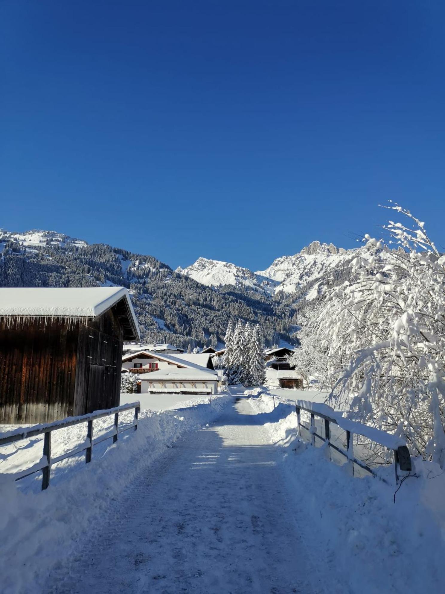 Alpapart Hornberg Hofen Luaran gambar