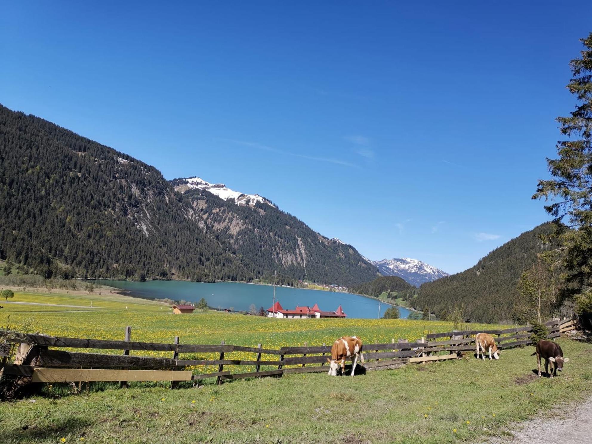 Alpapart Hornberg Hofen Luaran gambar