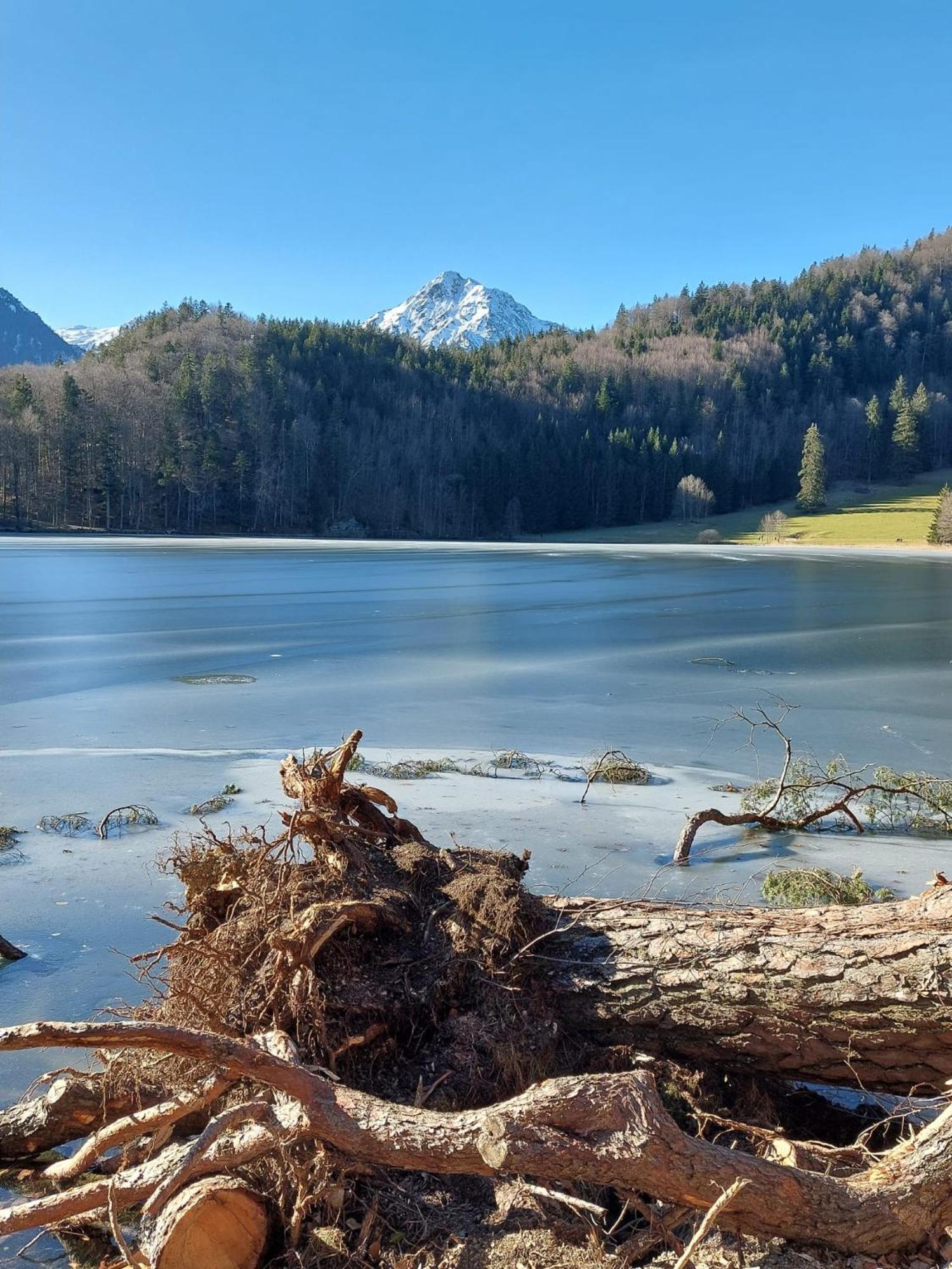 Alpapart Hornberg Hofen Luaran gambar