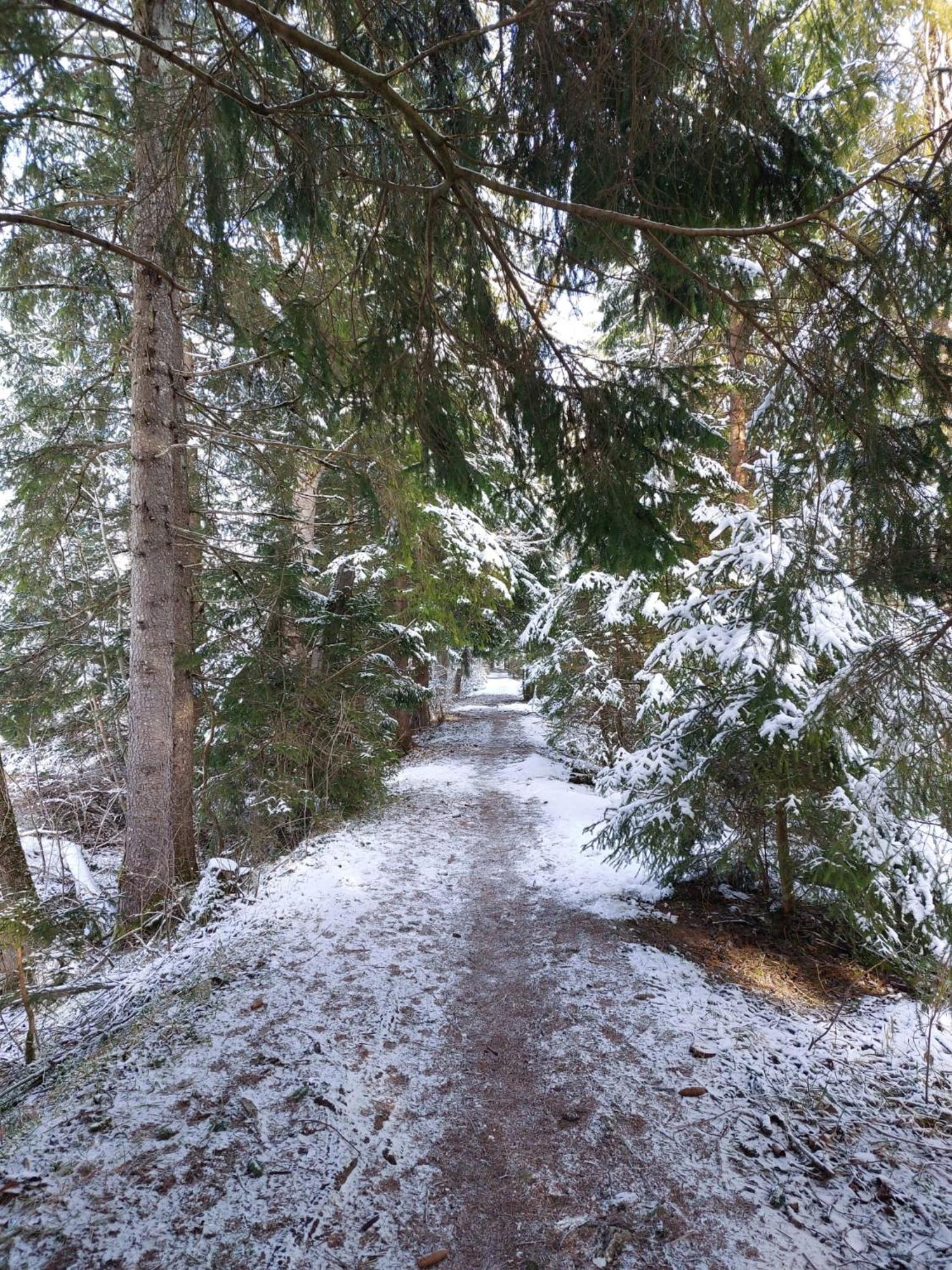 Alpapart Hornberg Hofen Luaran gambar